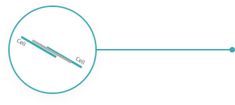 太阳城官网(中国)集团有限公司